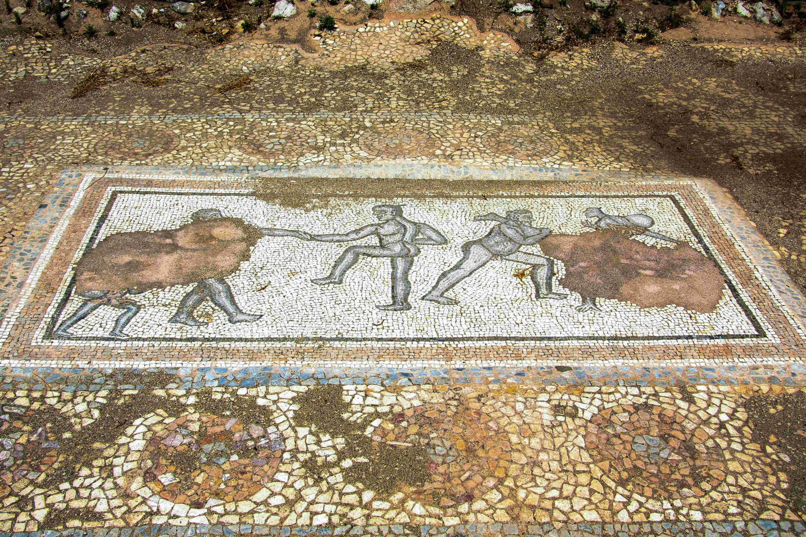 Δίον
